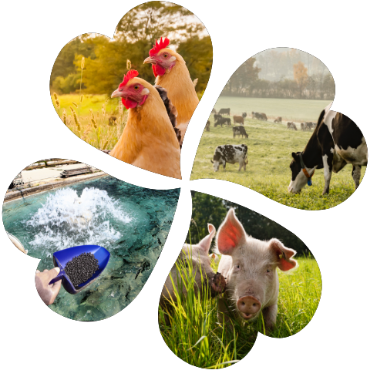 পুষ্টি সম্পর্কিত বিভাগের ছবি