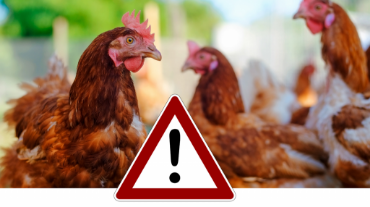 বায়োসিকিউরিটি বিভাগের ছবি