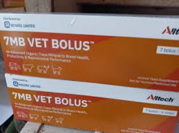 ৭ এমবি বোলাস ট্যাব এর ছবি