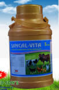 Sancal Vet Oral 1Ltr