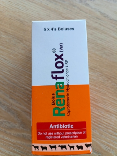 রেনাফ্লক্স ১০০০ মিগ্রা এর ছবি